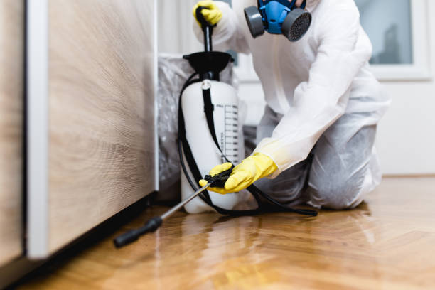 Best Wasp Removal Services  in Peotone, IL