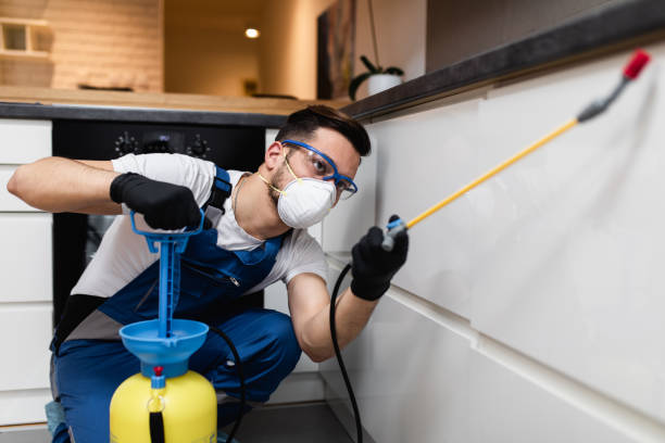 Best Insect Control  in Peotone, IL