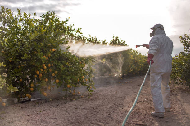 Pest Control for Restaurants in Peotone, IL