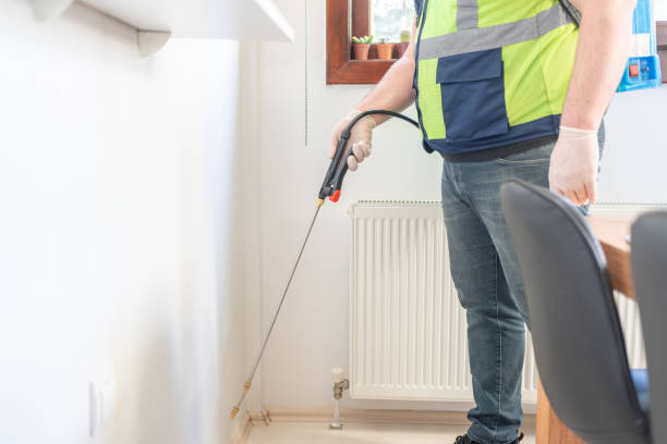 Best Termite Control Services  in Peotone, IL