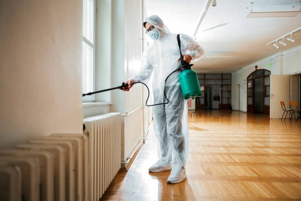 Best Pest Inspection Near Me  in Peotone, IL