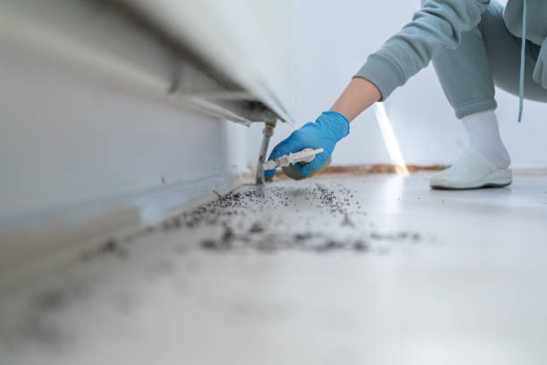 Best Best Pest Control Companies  in Peotone, IL