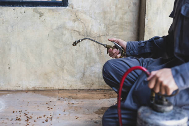 Best Residential Pest Control  in Peotone, IL