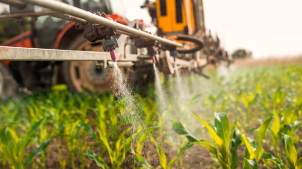 Reliable Peotone, IL Pest Control Solutions