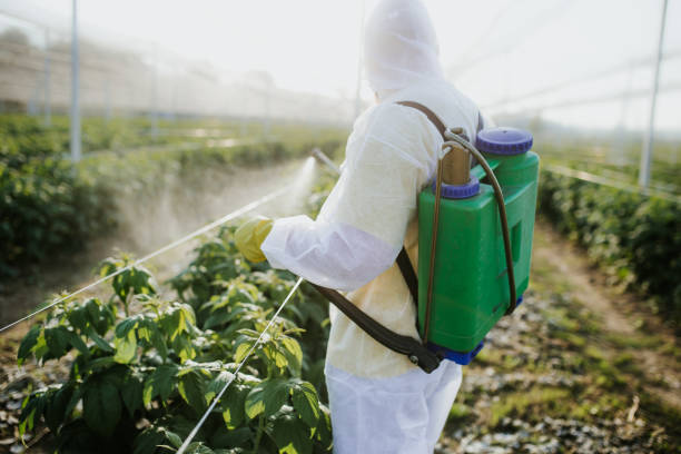 Best Commercial Pest Control Services  in Peotone, IL